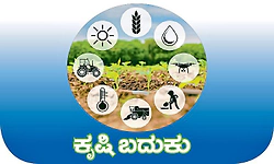 Agriculture: ರಾಜ್ಯದಲ್ಲಿ ಕಲ್ಪವೃಕ್ಷಕ್ಕೆ ಬಂದೆರಗಿದ ಕಂಟಕ: ತೆಂಗು ಬೆಳೆಗಾರರ ಸವಾಲಿನ ಹಾದಿ