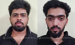 Two arrested for illegal cattle transportation in Moodbidri