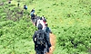 ಪ್ರಕೃತಿ ಸೌಂದರ್ಯಕ್ಕೂ ನಕಲಿ ರಶ್‌ ಕಾಟ ?