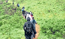 ಪ್ರಕೃತಿ ಸೌಂದರ್ಯಕ್ಕೂ ನಕಲಿ ರಶ್‌ ಕಾಟ ?