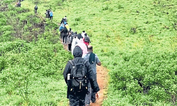 ಪ್ರಕೃತಿ ಸೌಂದರ್ಯಕ್ಕೂ ನಕಲಿ ರಶ್‌ ಕಾಟ ?