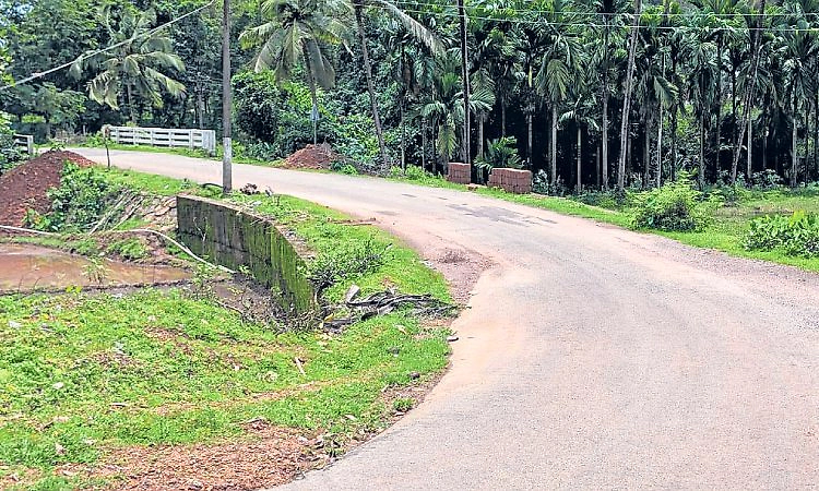 ಕೋಣಬೇರು ಸೇತುವೆ ಬಳಿ ಬೇಕು ರಕ್ಷಣಾ ಬೇಲಿ