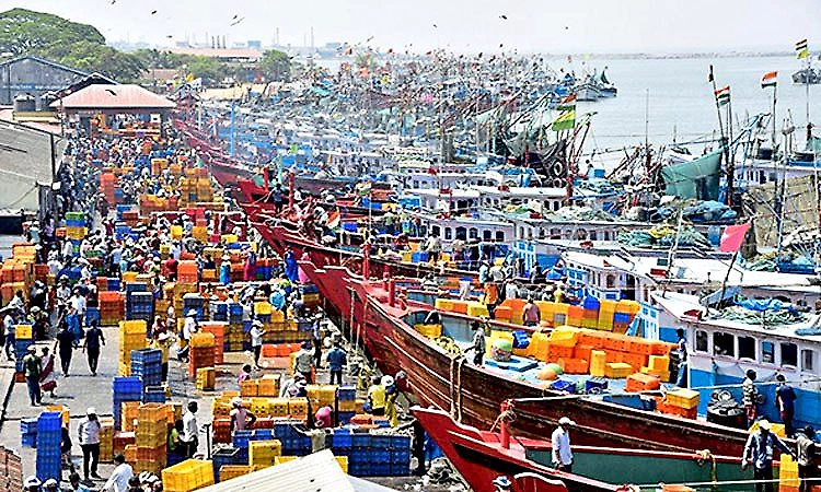 Mangaluru: Deep-sea fishing boats return to harbour
