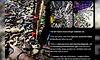 "AI Is Crying In The Corner": Man Uses ChatGPT To Find Lost Clogs In A Sea Of Footwear