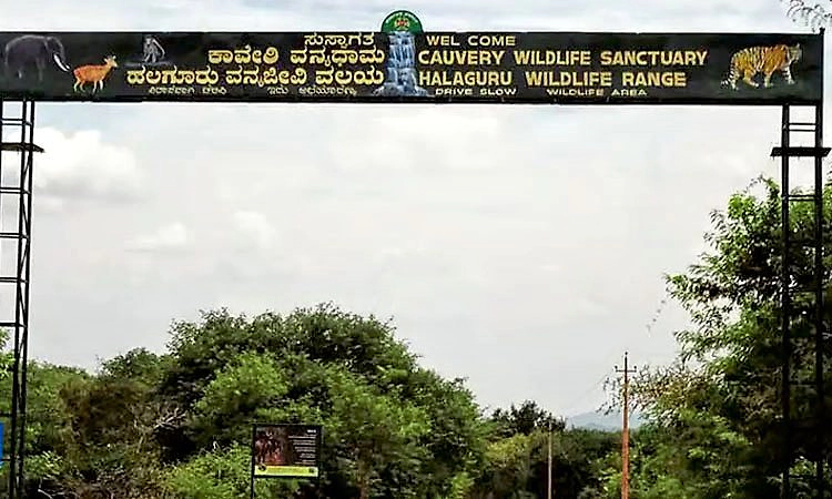 Hanur: ಅರಣ್ಯ ಇಲಾಖೆ ಗುಂಡೇಟಿಗೆ ಮೂವರು ಬೇಟೆಗಾರರು ಬಲಿ!