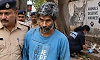 Mumbai man accused of killing 20 cats gets bail within 24 hours of arrest