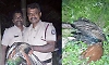 Udupi firefighters rescue peacock that fell into well in Katapady