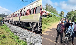 Shivamogga: Tree falls on railway track, Talaguppa-Bengaluru train halted