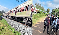 Shivamogga: ಹಳಿಯ ಮೇಲೆ ಬಿದ್ದ ಮರ: ಮಾರ್ಗ ಮಧ್ಯೆ ನಿಂತ ತಾಳಗುಪ್ಪ-ಬೆಂಗಳೂರು ರೈಲು