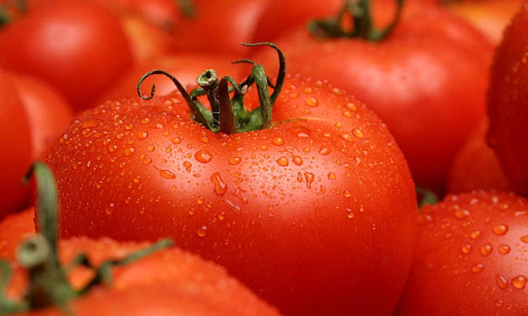 Raw Tomato: ಹಸಿ ಟೊಮೆಟೊ ತಿನ್ನುವುದರಿಂದಾಗುವ 10 ಆರೋಗ್ಯ ಪ್ರಯೋಜನಗಳು