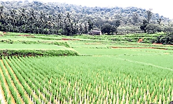 ಬೈಂದೂರು: ಪಟ್ಟಣ ಪಂಚಾಯತ್‌ ಚುನಾವಣೆಗೆ ದಾರಿ ಸುಗಮ