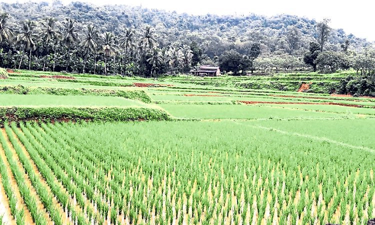 ಬೈಂದೂರು: ಪಟ್ಟಣ ಪಂಚಾಯತ್‌ ಚುನಾವಣೆಗೆ ದಾರಿ ಸುಗಮ