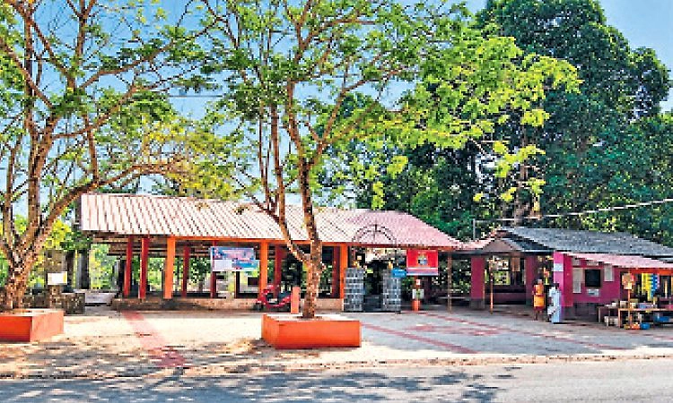 ಕಾಜ್ರಳ್ಳಿ ವನದುರ್ಗಾಪರಮೇಶ್ವರೀ ದೇವಾಲಯ: ವನದುರ್ಗೆಗೆ ಗುಡಿ ಇಲ್ಲ, ಕಾಡೇ ದೇವಾಲಯ! 