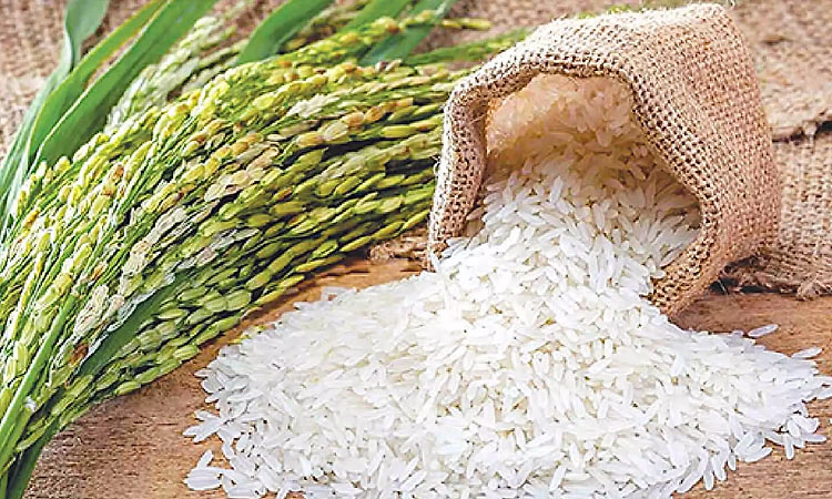 ಭೀಕರ ಬರ: 25 ಕೇಜಿಗೆ 15 ದಿನದಲ್ಲೇ ₹2000ದಿಂದ ₹2500 ಜಿಗಿದ ಅಕ್ಕಿ ದರ