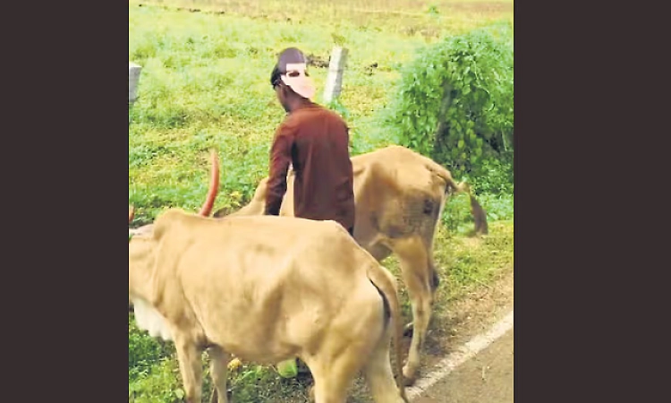 New mask method introduced to prevent tiger attacks in Bandipur