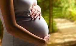 Indian scientists discover ‘genetic switch’ inside womb that leads to pregnancy