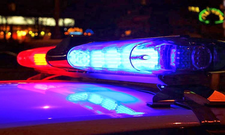 Mudigere; 80 ಮೂಟೆ ಕಾಳುಮೆಣಸು ಕಳ್ಳತನ ಪ್ರಕರಣ: ಮಹಿಳಾ ಆರೋಪಿ ಬಂಧನ, ಮೂವರು ಪರಾರಿ