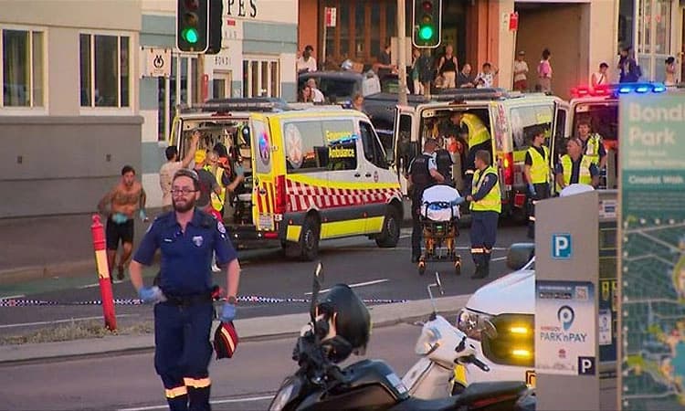 Bondi Beach ;ಸಿಡ್ನಿ ಉಗ್ರ ದಾಳಿ ನಡೆಸಿದ್ದು ಪಾಕ್‌ ಮೂಲದ ತಂದೆ-ಮಗನ ಜೋಡಿ!