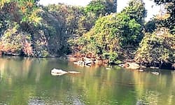 Mandya: ಜಿಲ್ಲೆಯ ಪ್ರವಾಸಿ ತಾಣಗಳಿಗೆ ಮೂಲಸೌಕರ್ಯ ಕೊರತೆ