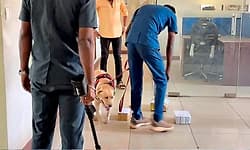 Mangaluru ಆರ್‌ಟಿಒ ಕಚೇರಿಗೆ ಬಾಂಬ್ ಬೆದರಿಕೆ; ಪೊಲೀಸರ ಪರಿಶೀಲನೆ