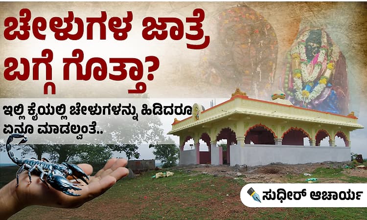 Scorpion Festival: ಕರ್ನಾಟಕದ ಈ ಗ್ರಾಮದಲ್ಲಿ ನಡೆಯುತ್ತೆ ಚೇಳುಗಳ ಜಾತ್ರೆ...