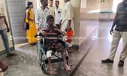 ಬೆಳ್ತಂಗಡಿ: ಮನೆ ಅಂಗಳದಲ್ಲಿ ಕೃಷಿಕರೊಬ್ಬರ ಮೇಲೆ ಚಿರತೆ ದಾಳಿ