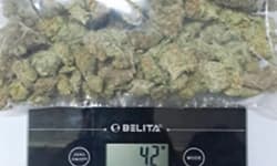 ಕೆಂಪೇಗೌಡ ಏರ್ಪೋರ್ಟ್‌ನಲ್ಲಿ 2.18 ಕೋಟಿ ರೂ. ಮೌಲ್ಯದ  ಹೈಡ್ರೋಪೋನಿಕ್‌  ಗಾಂಜಾ ಜಪ್ತಿ