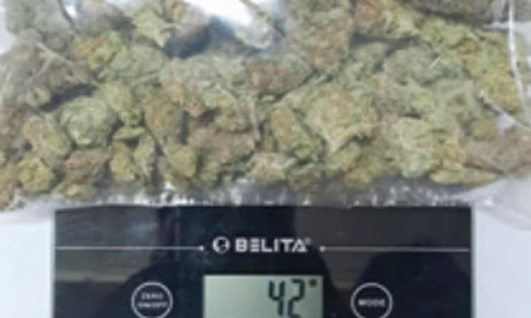 ಕೆಂಪೇಗೌಡ ಏರ್ಪೋರ್ಟ್‌ನಲ್ಲಿ 2.18 ಕೋಟಿ ರೂ. ಮೌಲ್ಯದ  ಹೈಡ್ರೋಪೋನಿಕ್‌  ಗಾಂಜಾ ಜಪ್ತಿ