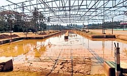 Puttur Kambala: ಹಳೆಯ ಕರೆಯಲ್ಲಿ ಕೊನೆಯ ಓಟ!