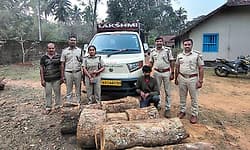 ‌Aranthodu: ಅಕ್ರಮ ಮರ ಸಾಗಾಟ ಪತ್ತೆ