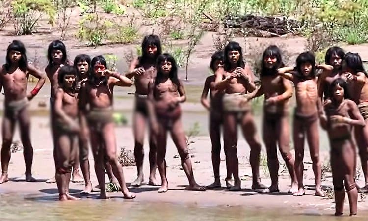 ಅಮೆಜಾನ್ ಮಳೆಕಾಡಿನ ಅನ್-ಕಾಂಟ್ಯಾಕ್ಟೆಡ್ ಬುಡಕಟ್ಟು ಜನರ ವಿಡಿಯೋ ವೈರಲ್‌