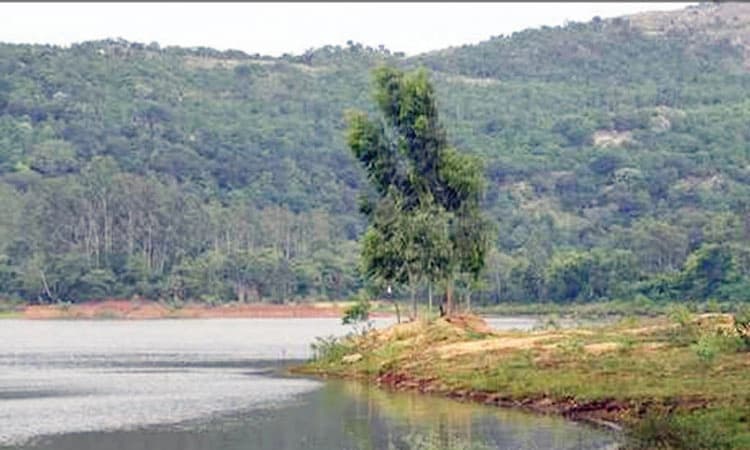 ಬನ್ನೇರುಘಟ್ಟದಲ್ಲಿ ಸಹಸ್ರಾರು ಎಕರೆ ಗೋಮಾಳ ಕಬಳಿಕೆ
