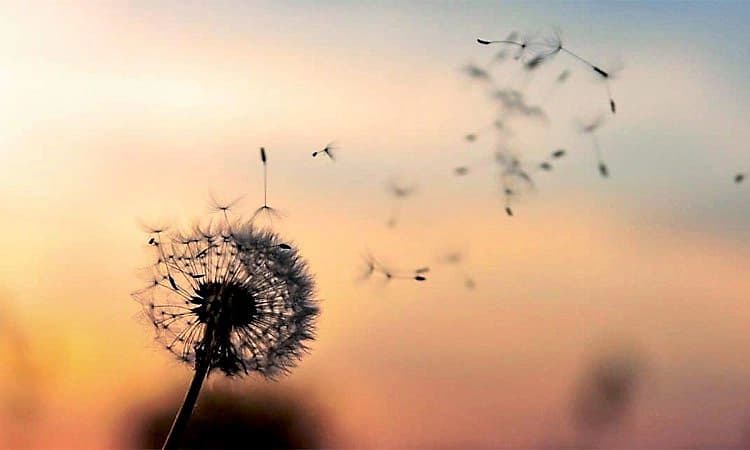 Life: ಬದುಕಿನ ಬಂಡಿ ಸಾಗಲು ಹೊಂದಾಣಿಕೆಯೇ ದಾರಿ............