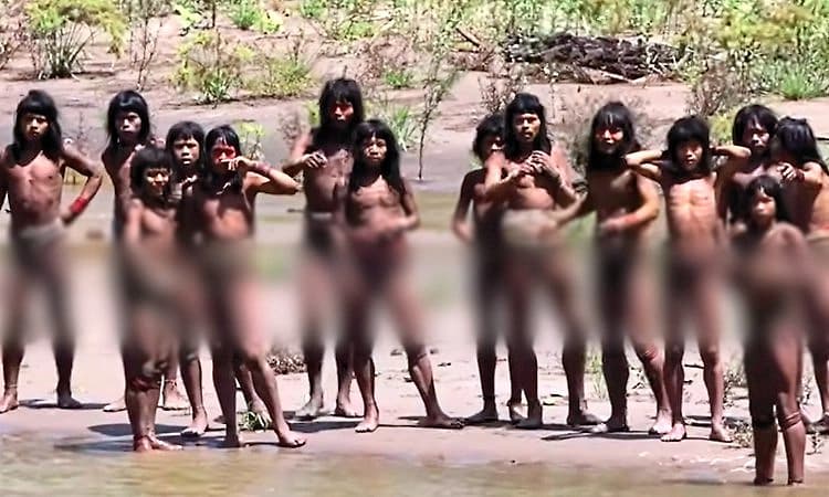 ಅಮೆಜಾನ್ ಮಳೆಕಾಡಿನ ಅನ್-ಕಾಂಟ್ಯಾಕ್ಟೆಡ್ ಬುಡಕಟ್ಟು ಜನರ ವಿಡಿಯೋ ವೈರಲ್‌