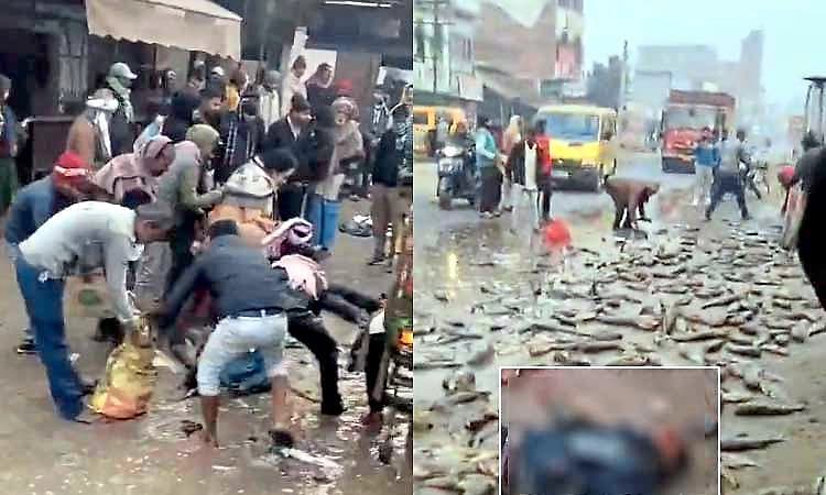 ಮಾನವೀಯತೆ ಮರೆತ ಜನ: ಅಪಘಾತದಲ್ಲಿ ಮೃತಪಟ್ಟ ಬಾಲಕನ ಶವದ ಮುಂದೆಯೇ ಮೀನಿಗಾಗಿ ಮುಗಿಬಿದ್ದ ಜನ