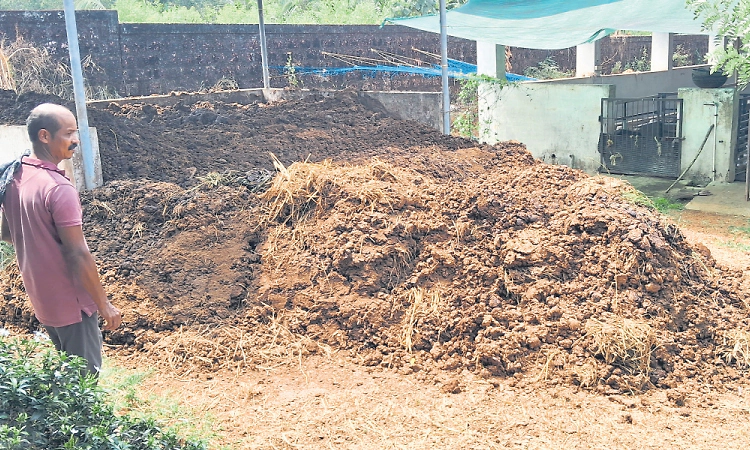 Kasaragod: ಸೆಗಣಿ ಮೌಲ್ಯ ವರ್ಧನೆಗೆ ಬರಲಿದೆ ಸೋಲಾರ್‌ ಡ್ರೈಯರ್‌