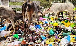 Magadi: ಎಲ್ಲೆಂದರಲ್ಲಿ ರಾರಾಜಿಸುವ ಕಸದ ರಾಶಿ!