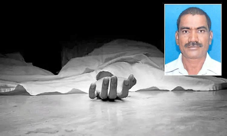 Farmer dies after honey bee attack in Chikkamagaluru