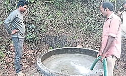 Forest department sets up water troughs for animals and birds in Kundapura forests