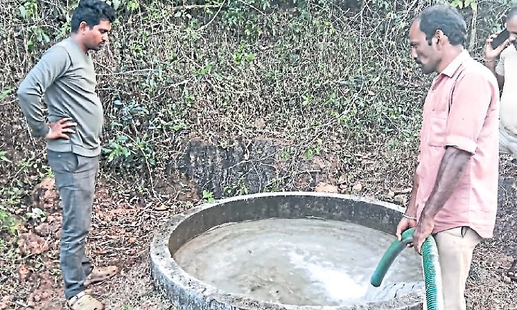 Forest department sets up water troughs for animals and birds in Kundapura forests