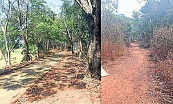 Manipal: ಮಣ್ಣಪಳ್ಳದಲ್ಲಿ ಮಹಿಳೆಯರಿಗೆ ಕಿಡಿಗೇಡಿಗಳ ಕಾಟ