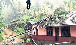 ಸುಬ್ರಹ್ಮಣ್ಯ: ಗಾಳಿ-ಮಳೆ; ಹಲವೆಡೆ ಹಾನಿ  