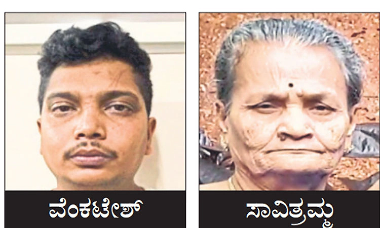 Man pushes aged paralytic mother from terrace of 4-storey building; arrested