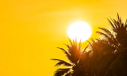 ಉತ್ತರ ಕರ್ನಾಟಕದಲ್ಲಿ 40 ಡಿಗ್ರಿ ತಲುಪಿದ ತಾಪ!; ಕರಾವಳಿಯ ಕೆಲವು ಕಡೆ ಇಂದು ಮಳೆ?