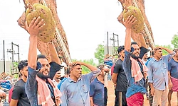 ಮೇನಾಲ ದರ್ಗಾದಲ್ಲಿ 10 ಸಾವಿರ ರೂ.ಗೆ ಹರಾಜಾದ ಹಲಸು!