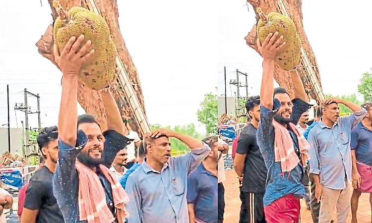 ಮೇನಾಲ ದರ್ಗಾದಲ್ಲಿ 10 ಸಾವಿರ ರೂ.ಗೆ ಹರಾಜಾದ ಹಲಸು!