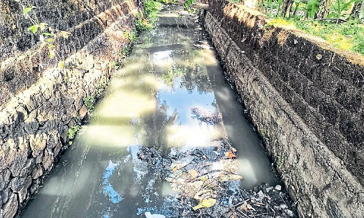 ಹೂದೋಟದ ನಿರೀಕ್ಷೆಯಲ್ಲಿ ಶಿವಬಾಗ್‌!