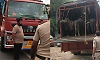 27 buffaloes rescued from illegal transport vehicle near Jappinamogaru