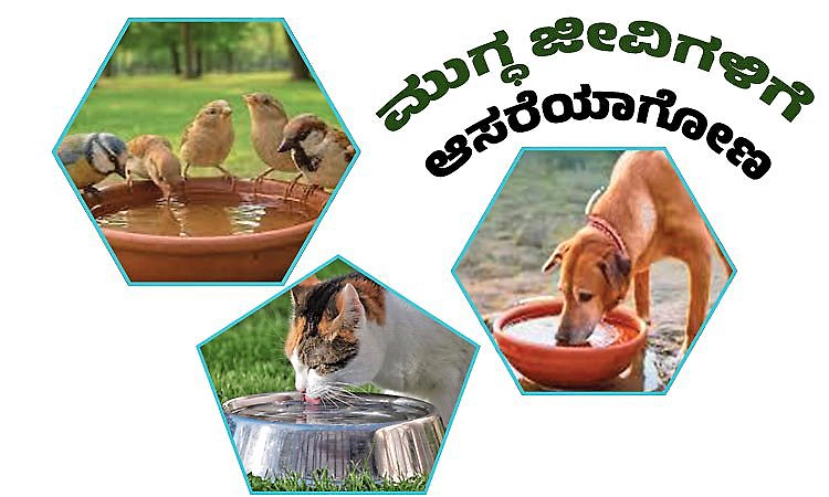 UV Fusion: ಮುಗ್ಧ ಜೀವಿಗಳಿಗೆ ಆಸರೆಯಾಗೋಣ