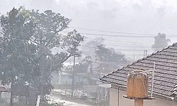 Chikkamagaluru: ಕಾಫಿನಾಡ ಮಲೆನಾಡು ಭಾಗದಲ್ಲಿ ಭಾರೀ ಗಾಳಿ- ಮಳೆ